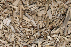 biomass boilers Birch Berrow